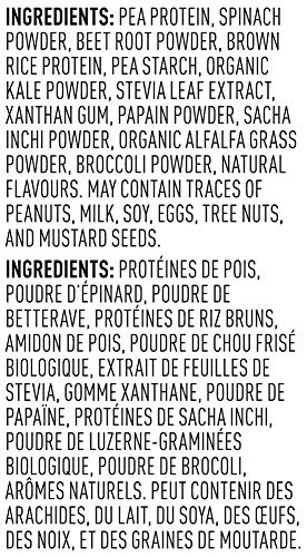 Vega Protein and Greens Chocolate (19 Servings) Plant Based Protein Powder Plus Veggies, Vegan, Non GMO, Pea Protein For Women and Men, 618g (Packaging May Vary) Empower Wellness Fitness