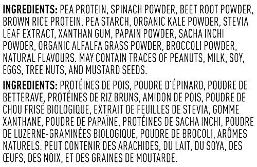 Vega Protein and Greens Chocolate (19 Servings) Plant Based Protein Powder Plus Veggies, Vegan, Non GMO, Pea Protein For Women and Men, 618g (Packaging May Vary) Empower Wellness Fitness